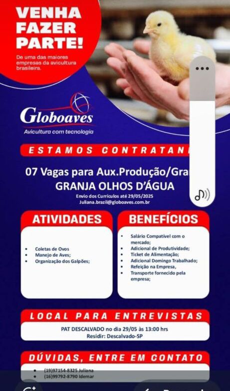 Globoaves está contratando: 07 vagas para Auxiliar de Produção em Descalvado