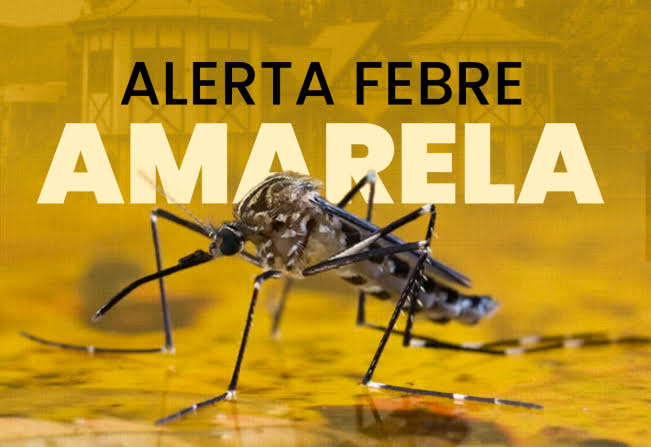 Febre Amarela: Descalvado está em área de risco e população deve se prevenir