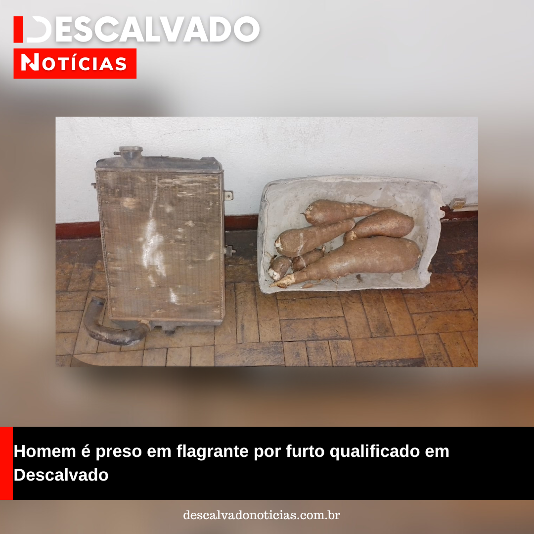 Homem é preso em flagrante por furto qualificado em Descalvado