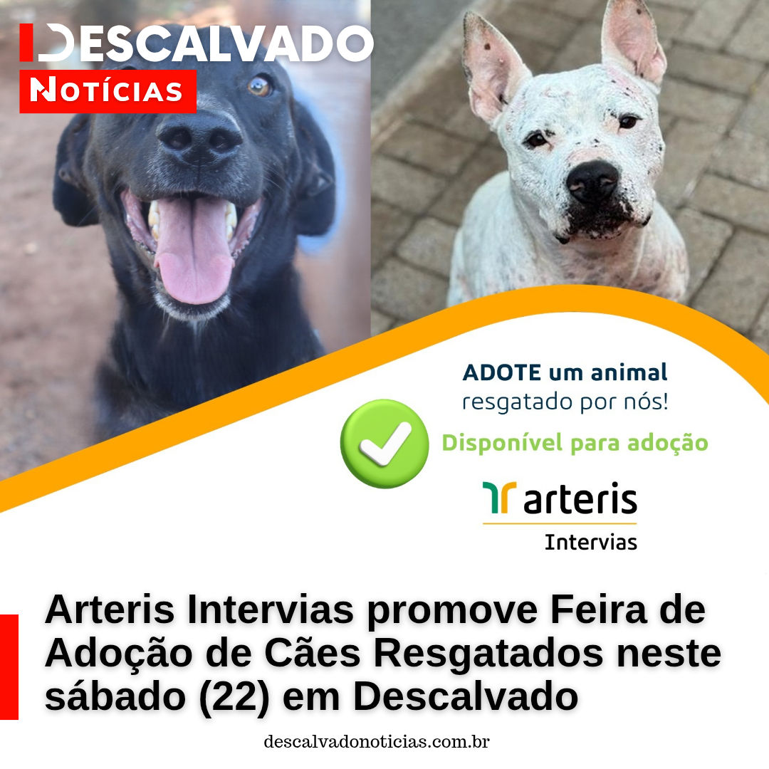 Arteris Intervias promove Feira de Adoção de Cães Resgatados neste sábado (22) em Descalvado